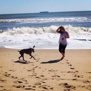 Meet your Posher, Casey